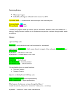 Carbohydrates and Lipids 