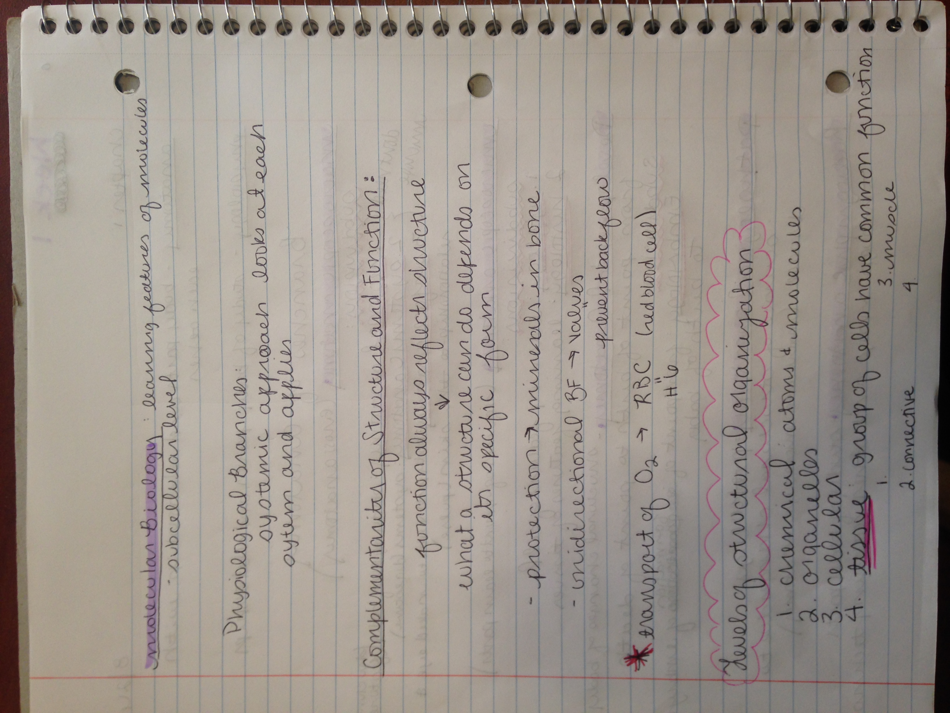 Week One Notes