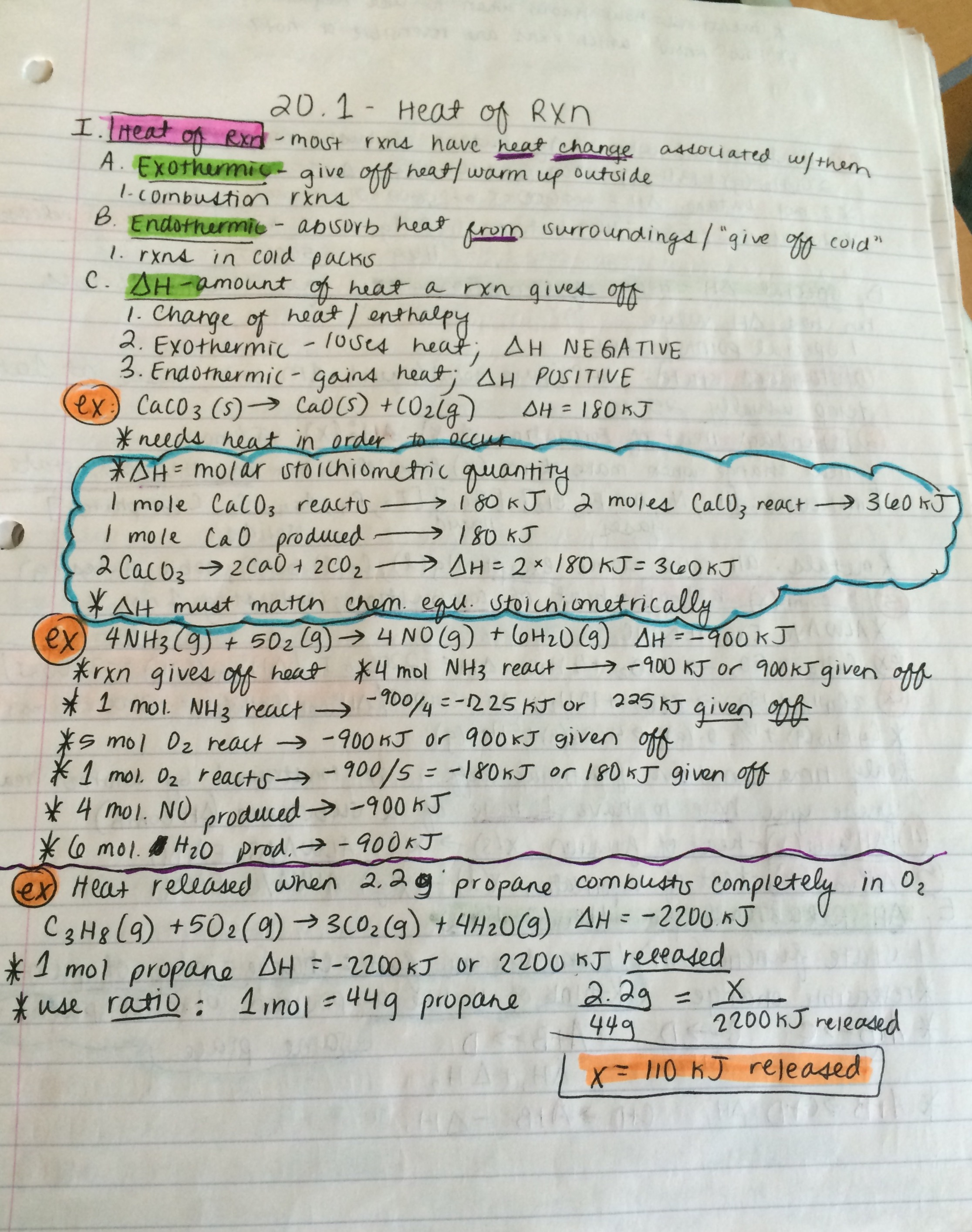 Chapter 20 Lecture and Video Notes