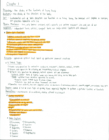 Human Phys. Study Guide (Chap 1-11)