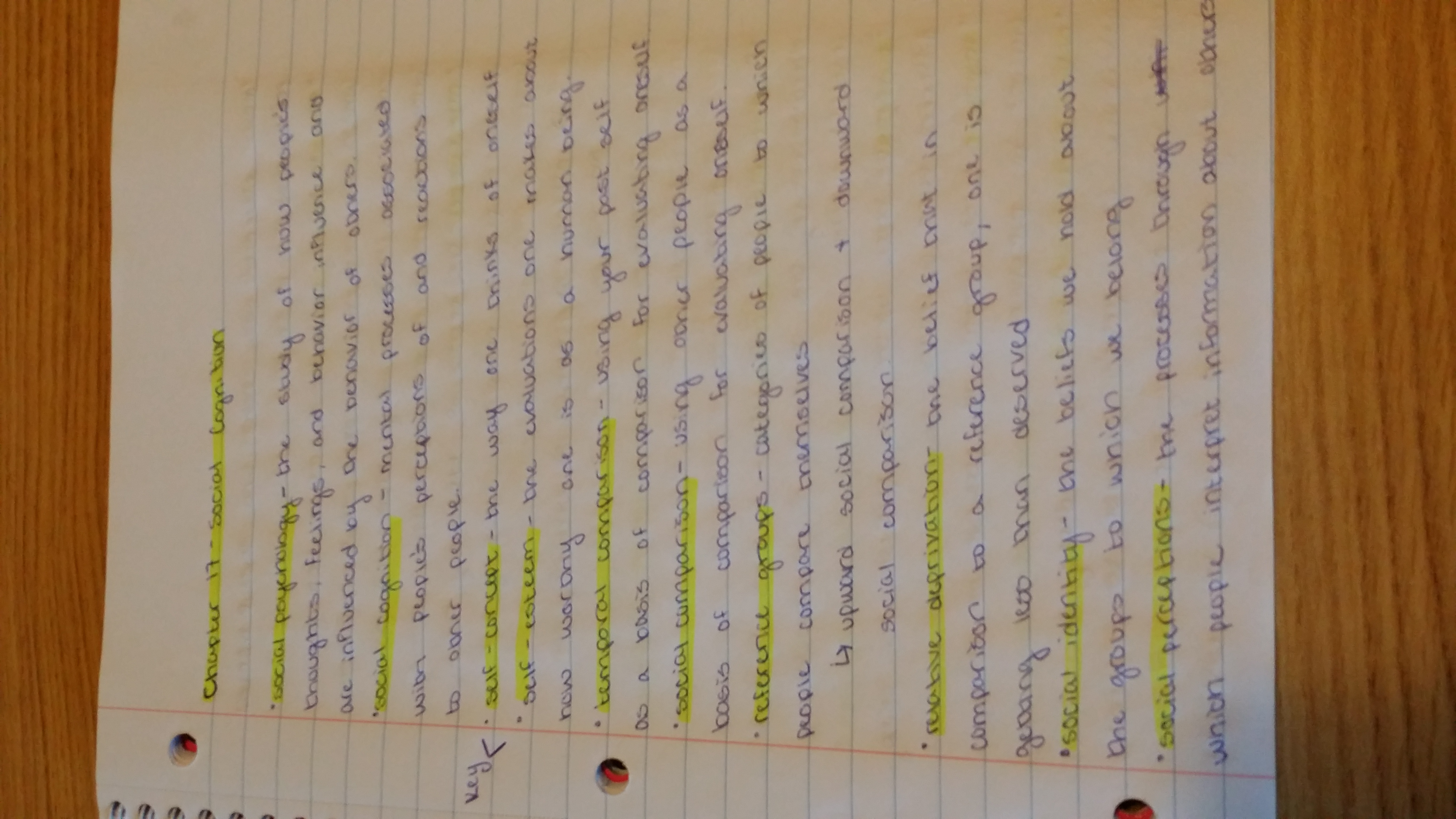 Chapter 17 Social Cognition