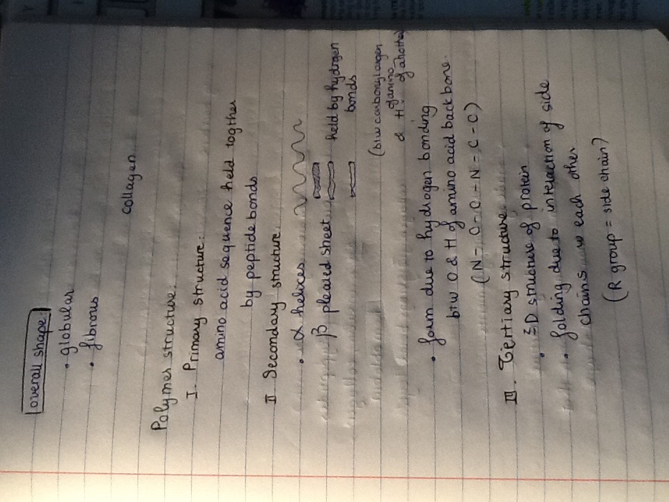 Bio week 6