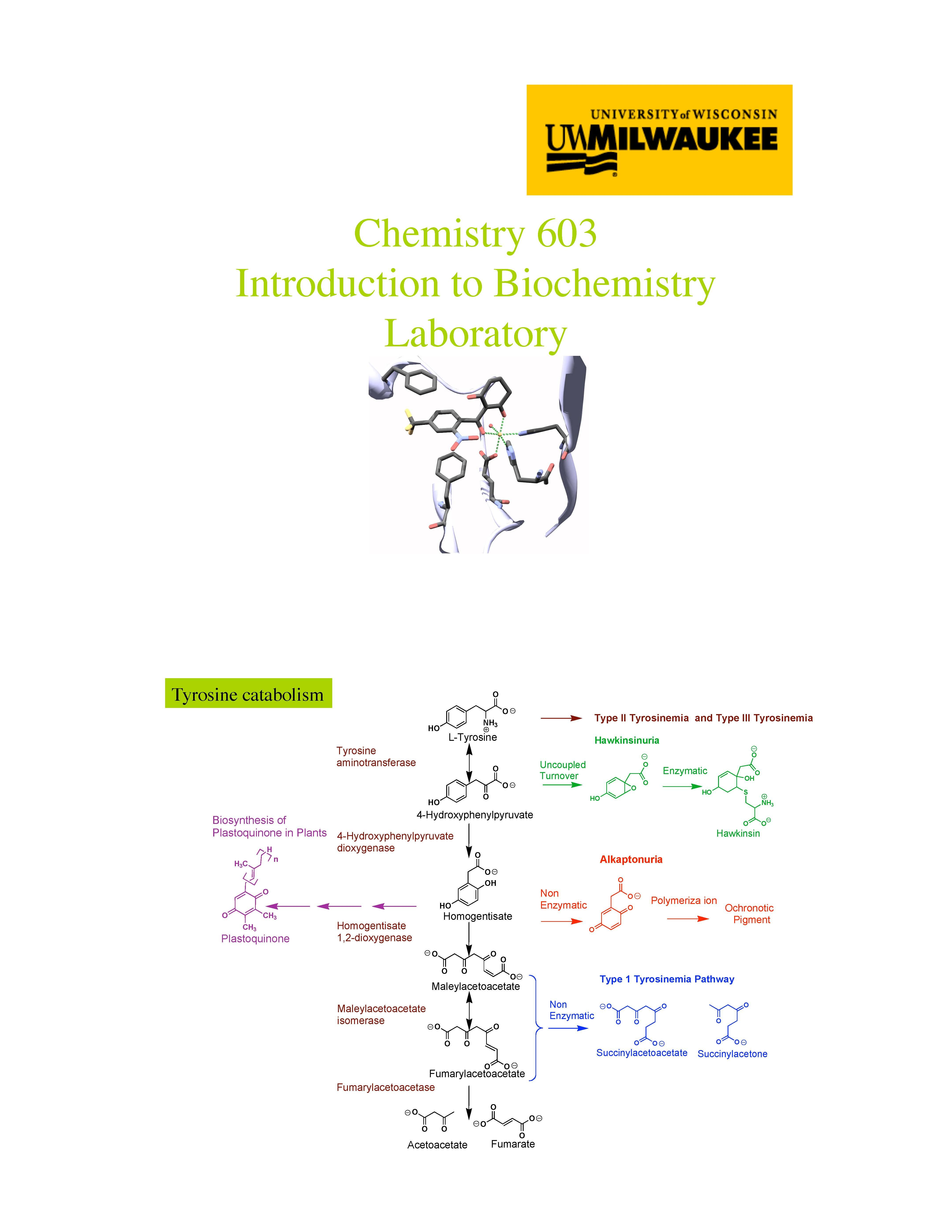 Introductionto Biochemistry Laboratory