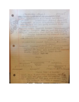 Week 1 Lecture Notes- Chemistry 1305