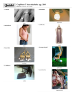 Spanish Ch.7 Flash Cards