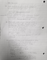 Week 2 Lecture Notes and Recitation