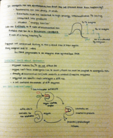 BIOL20A: WEEK 2