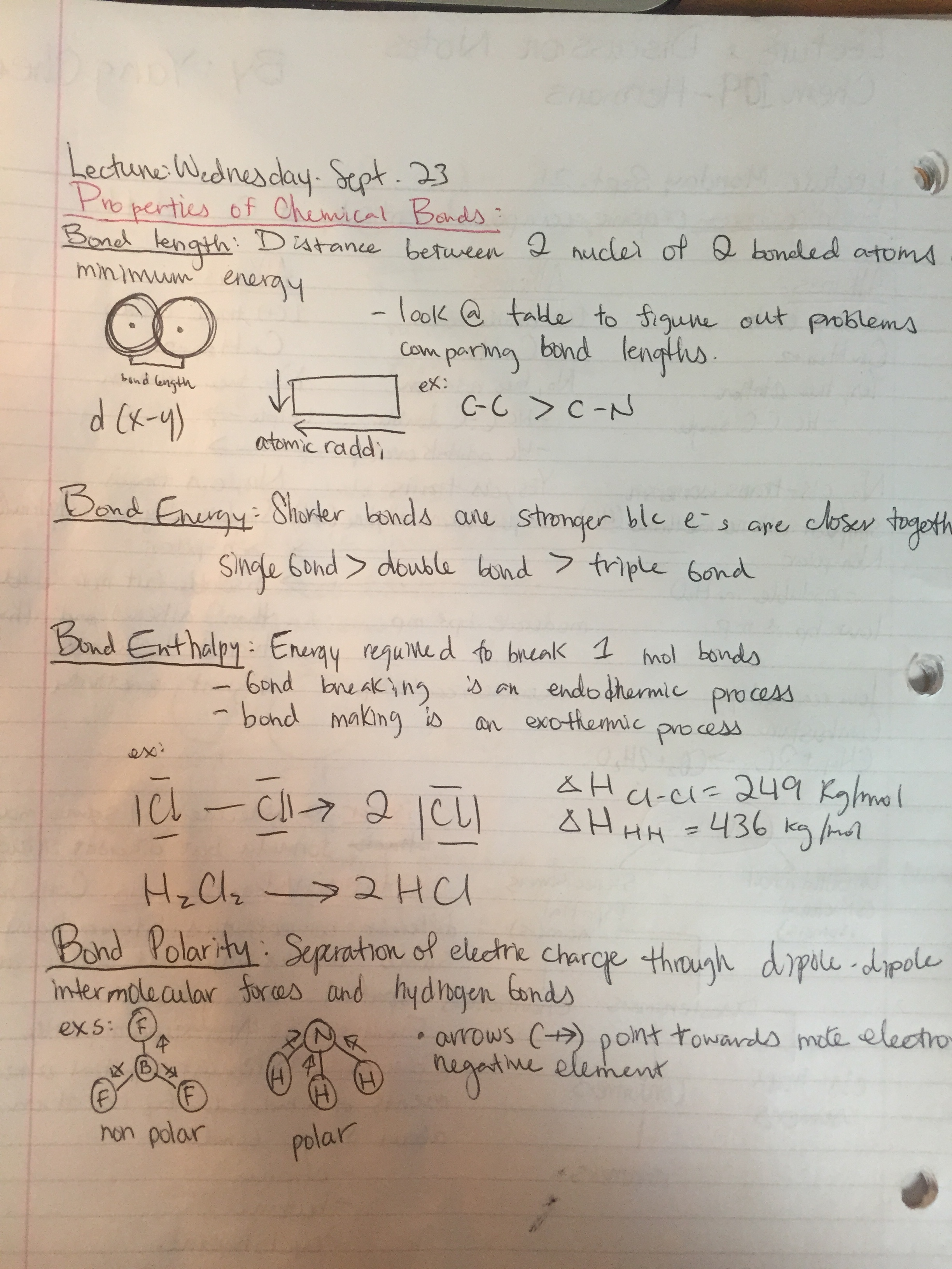 Sept. 21-October 2 Notets