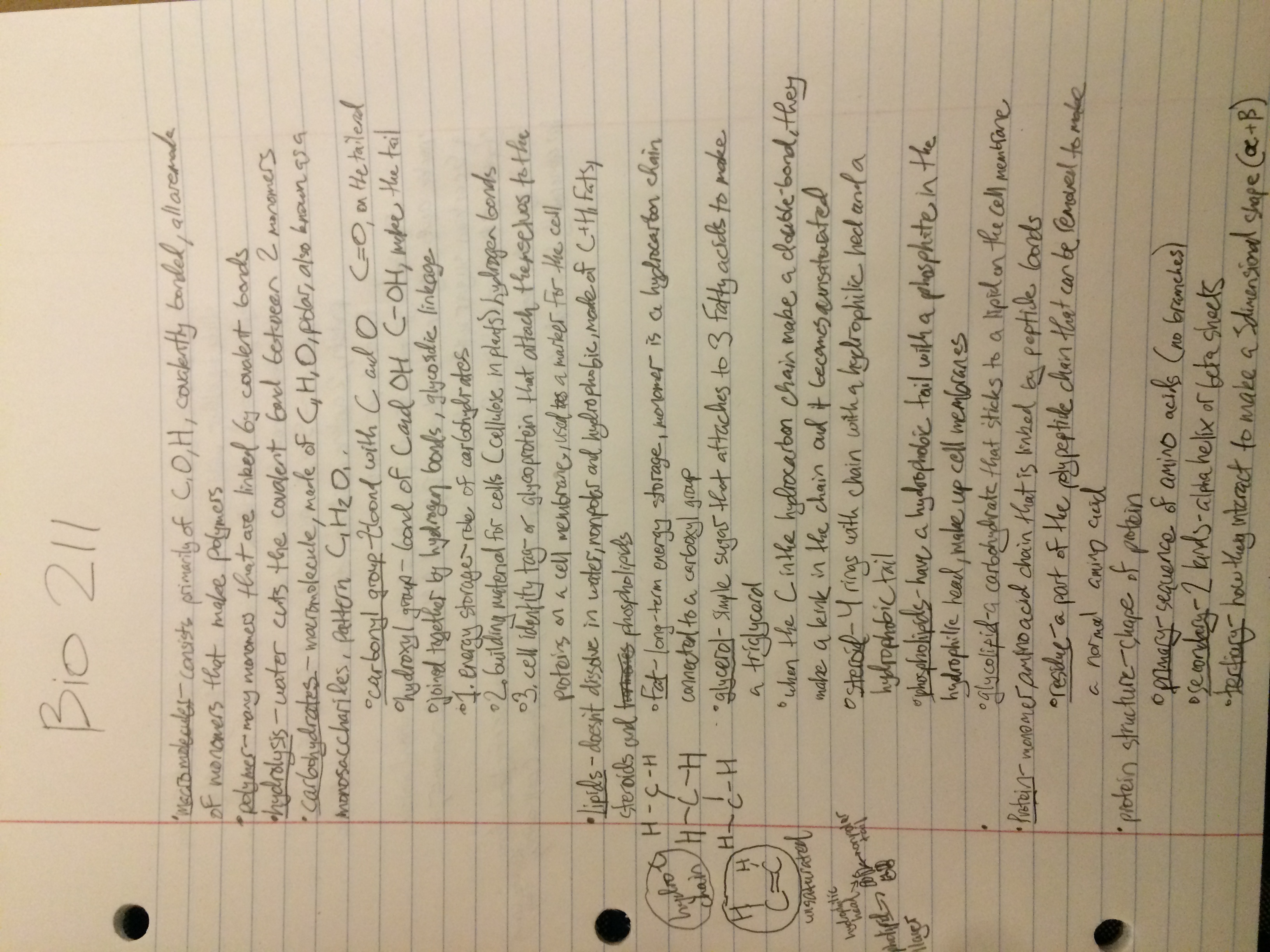 week 1 notes
