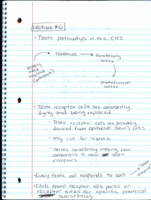 Week 3 Lecture Notes and Readings