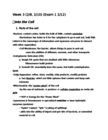 Bio Week 3 notes