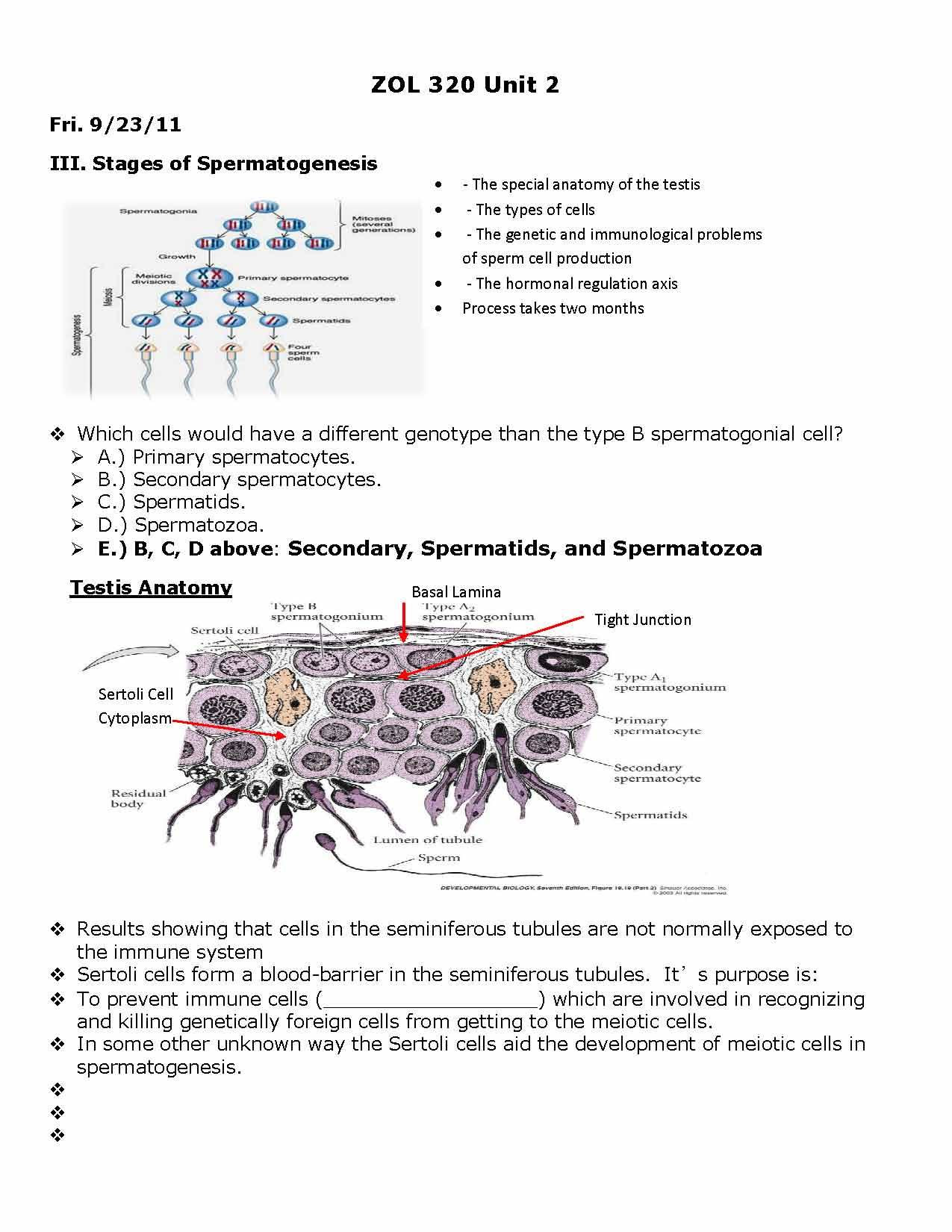 Developmental Biology