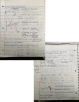 Notes sample