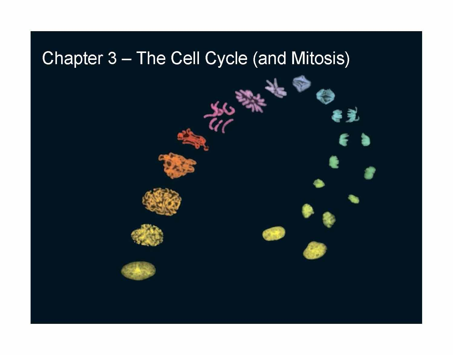 Organismal Biology
