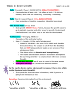 Week 3: Brain Growth (FSHS 506)