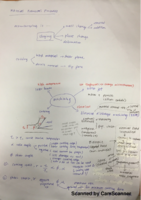 M6235 Lecture 7