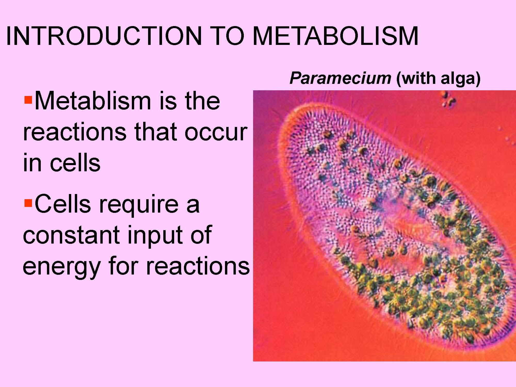 BIOL FOR SCI MAJ I