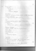 Ch 12 and Ch 13 Notes