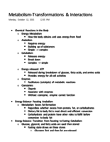 Metabolism-Transformations & Interactions