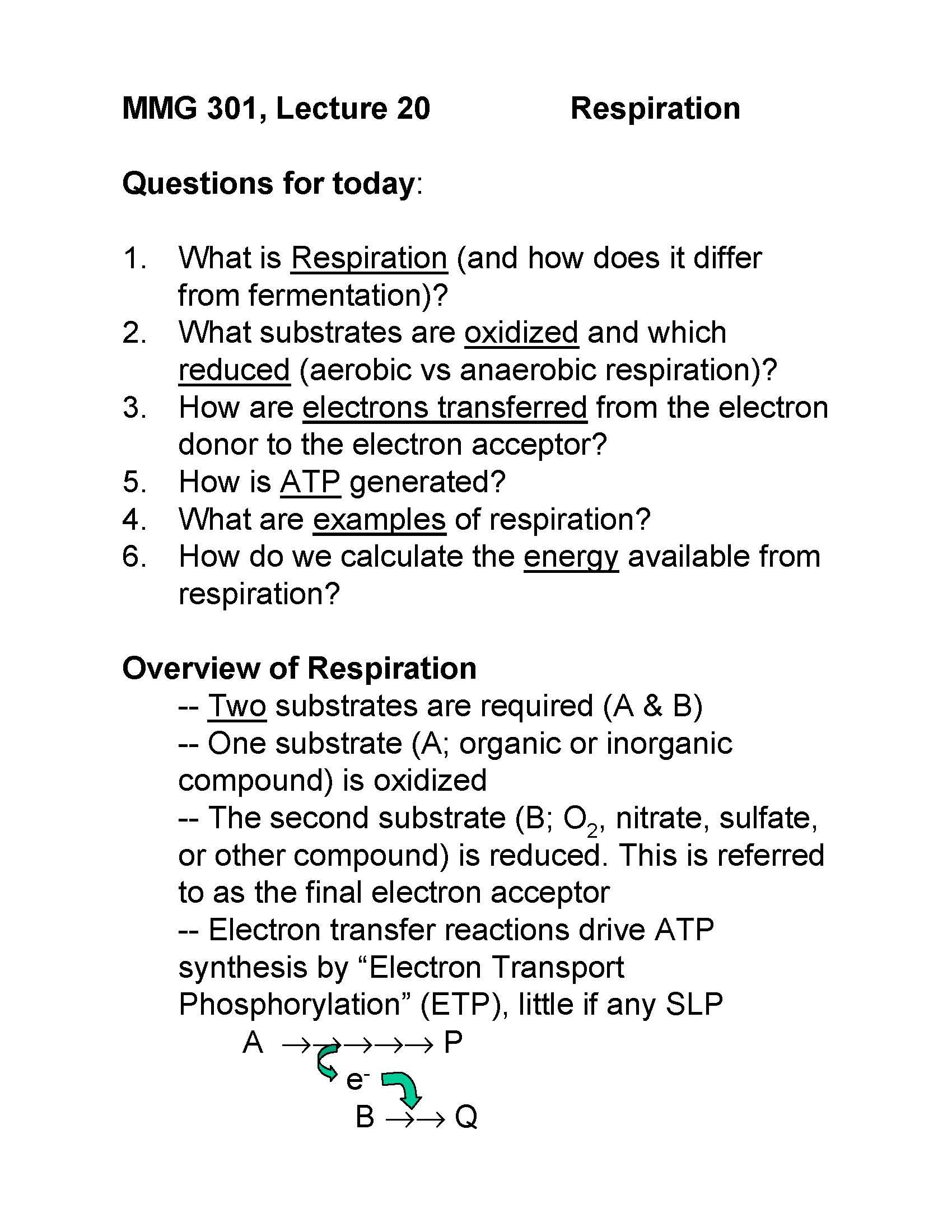 Introductory Microbiology