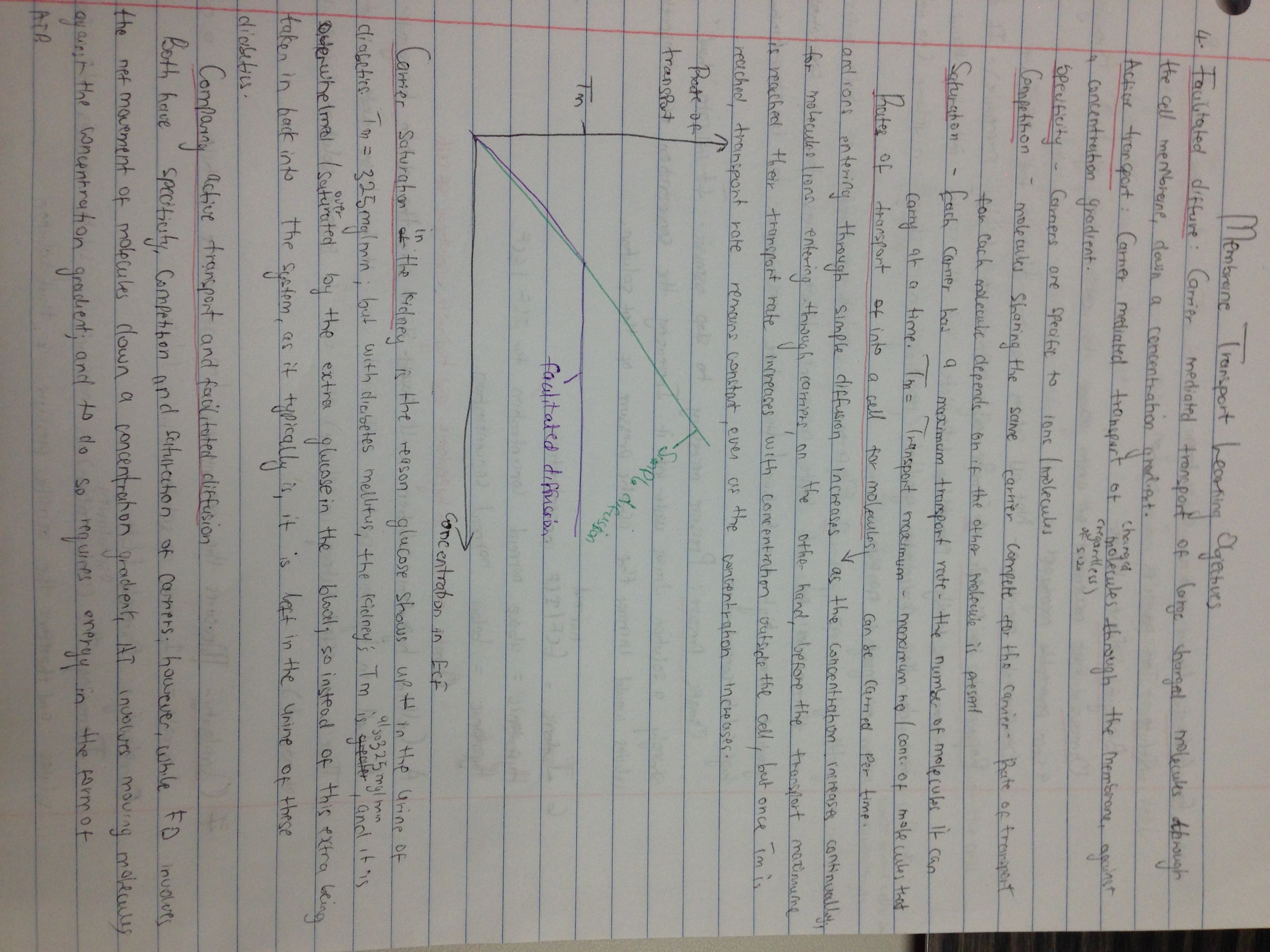 Unit 1 and 2 notes