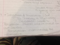 Chapter 4- Sensation and Perception