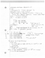 10/27 & 10/29 notes
