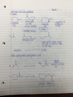 Organic II Week 7 Notes