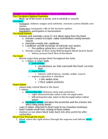 Chapter 5: Cardiovascular System: Heart and Blood Vessels