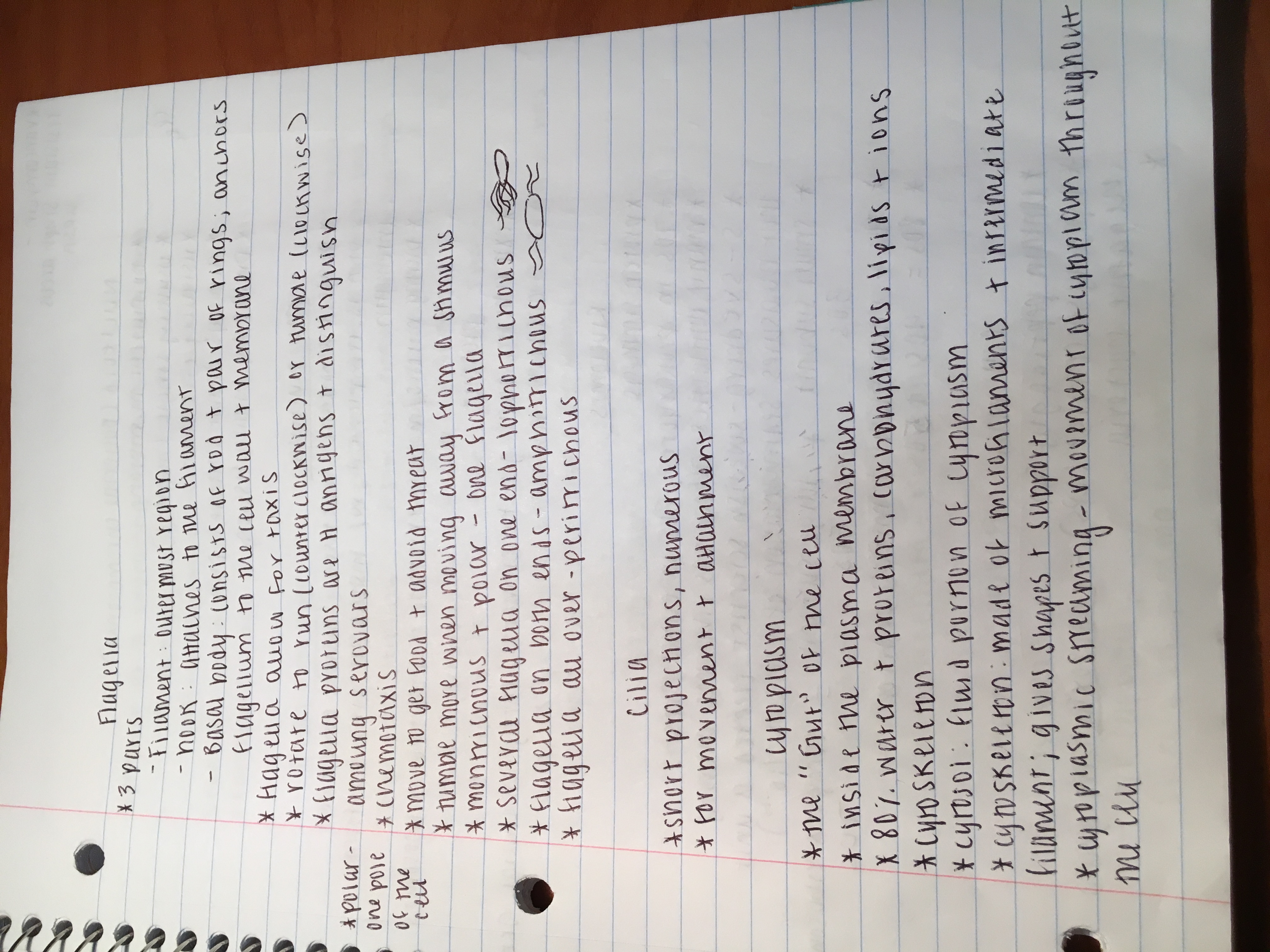 micro bio week 3/4 notes