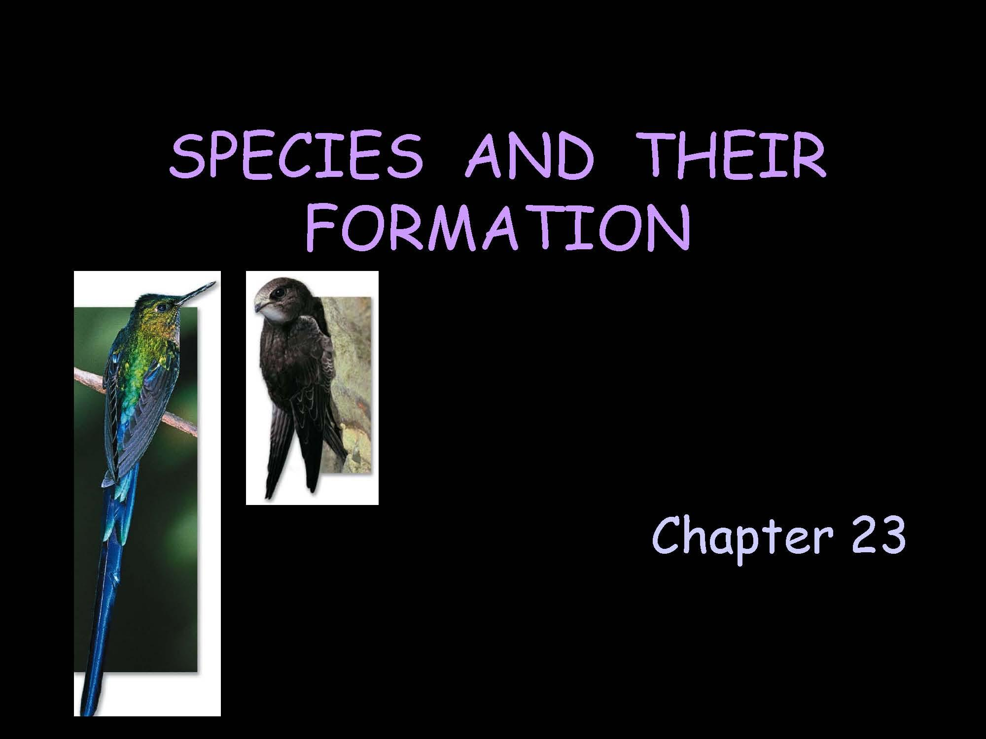 Principles of Biology I