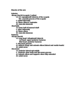 Notes on Muscles of the Forearm and Arm 