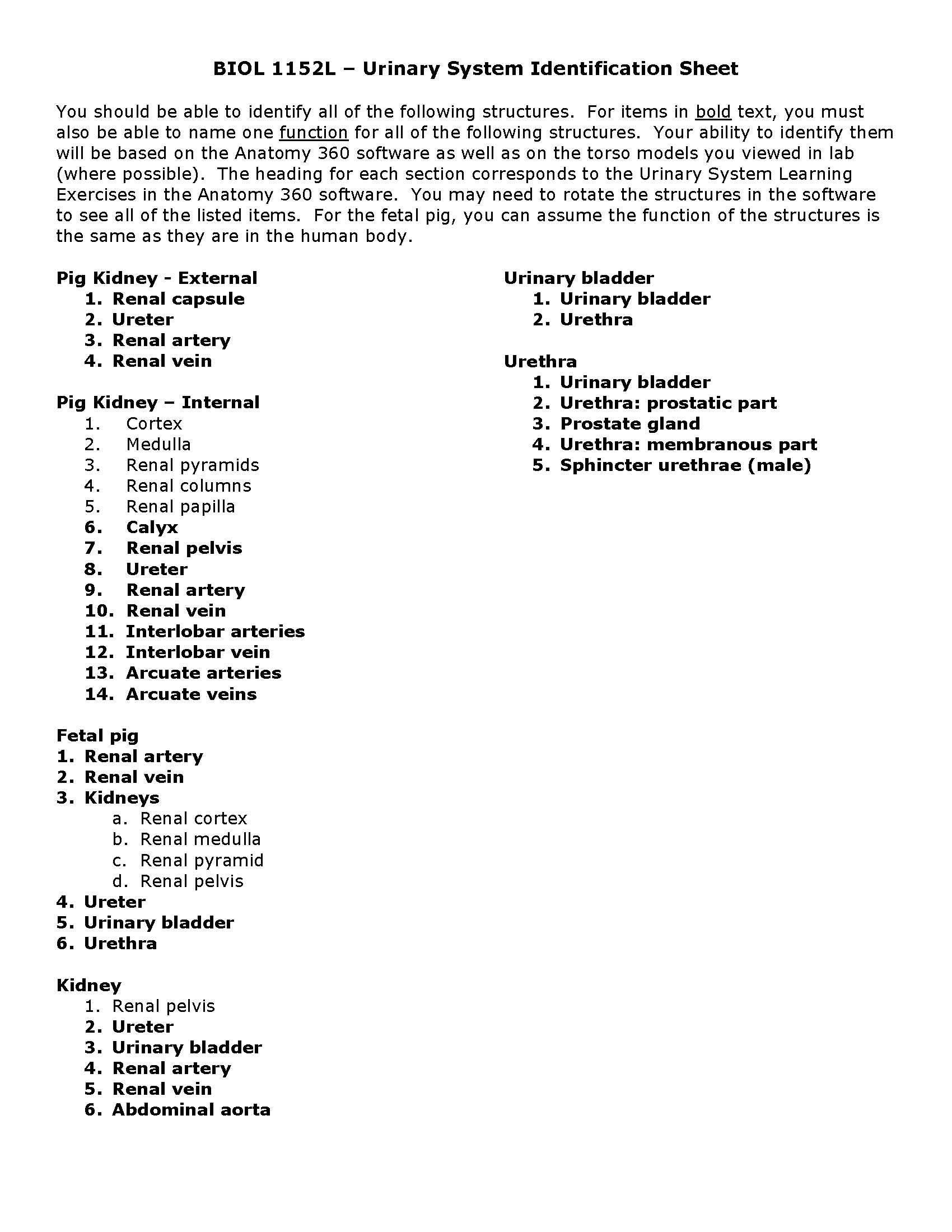 Human Anatomy & Physiology II