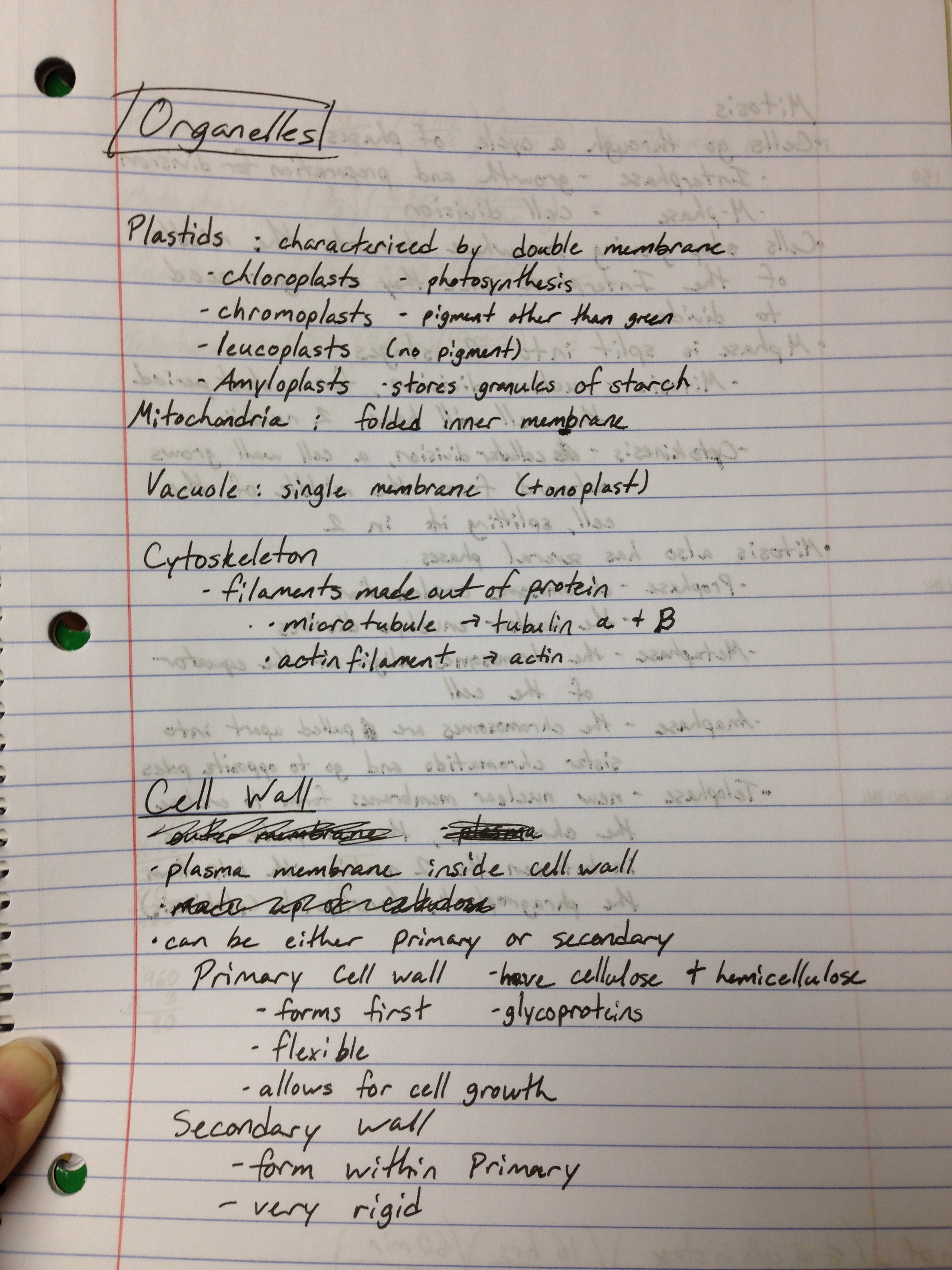 Bio 130, week 2 notes