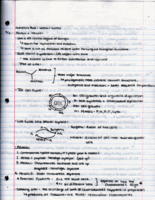 Genetics 466: Week 1 Notes