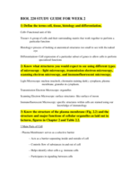 Human Anatomy Week 2