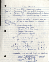 Protein Structure and Function Study Guide