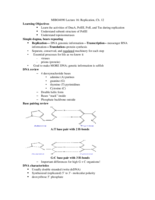 Exam 2
