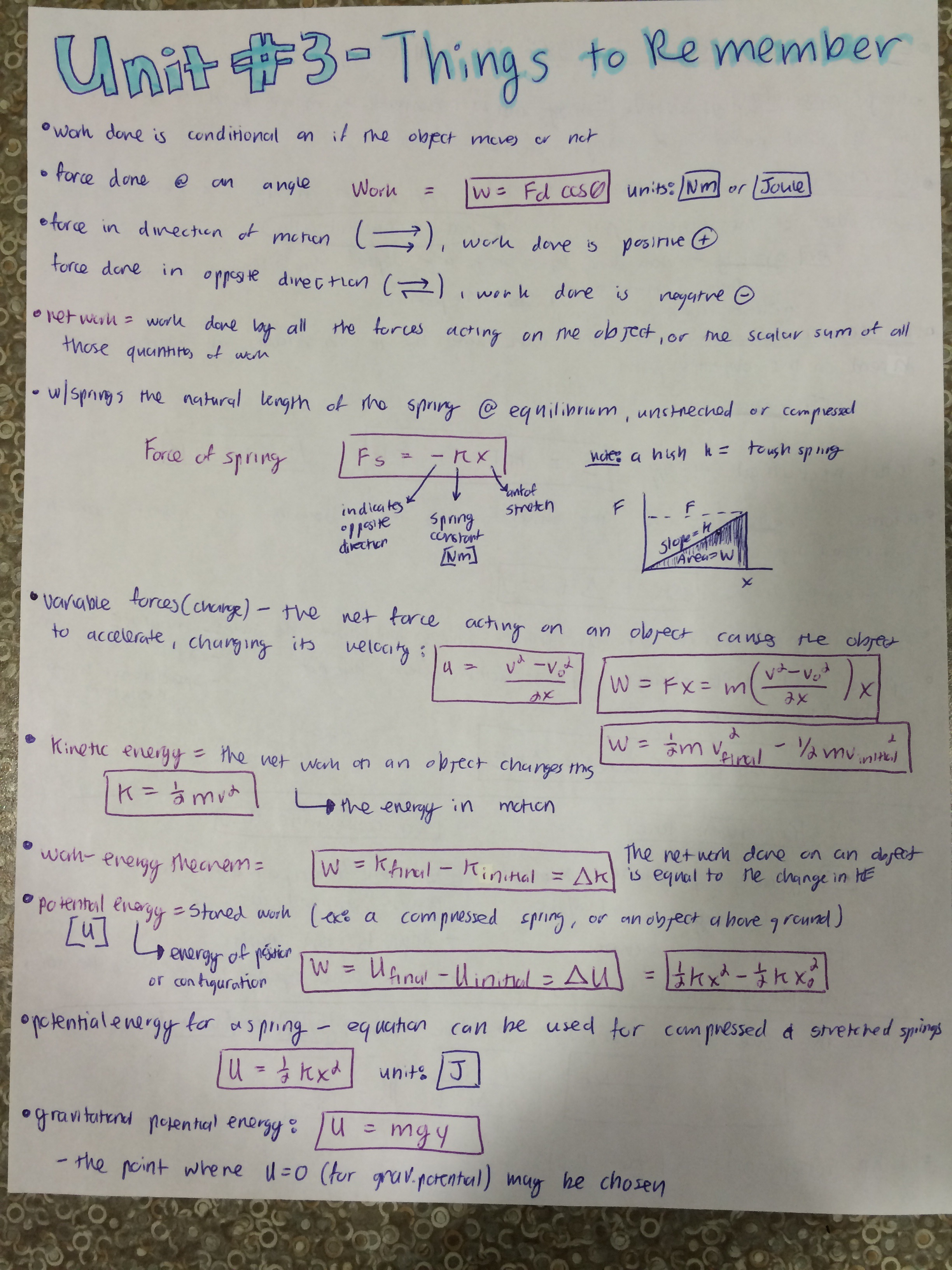 Exam #3-Study Guide