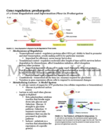 BIO 200 Exam 2 study guide for studysoup