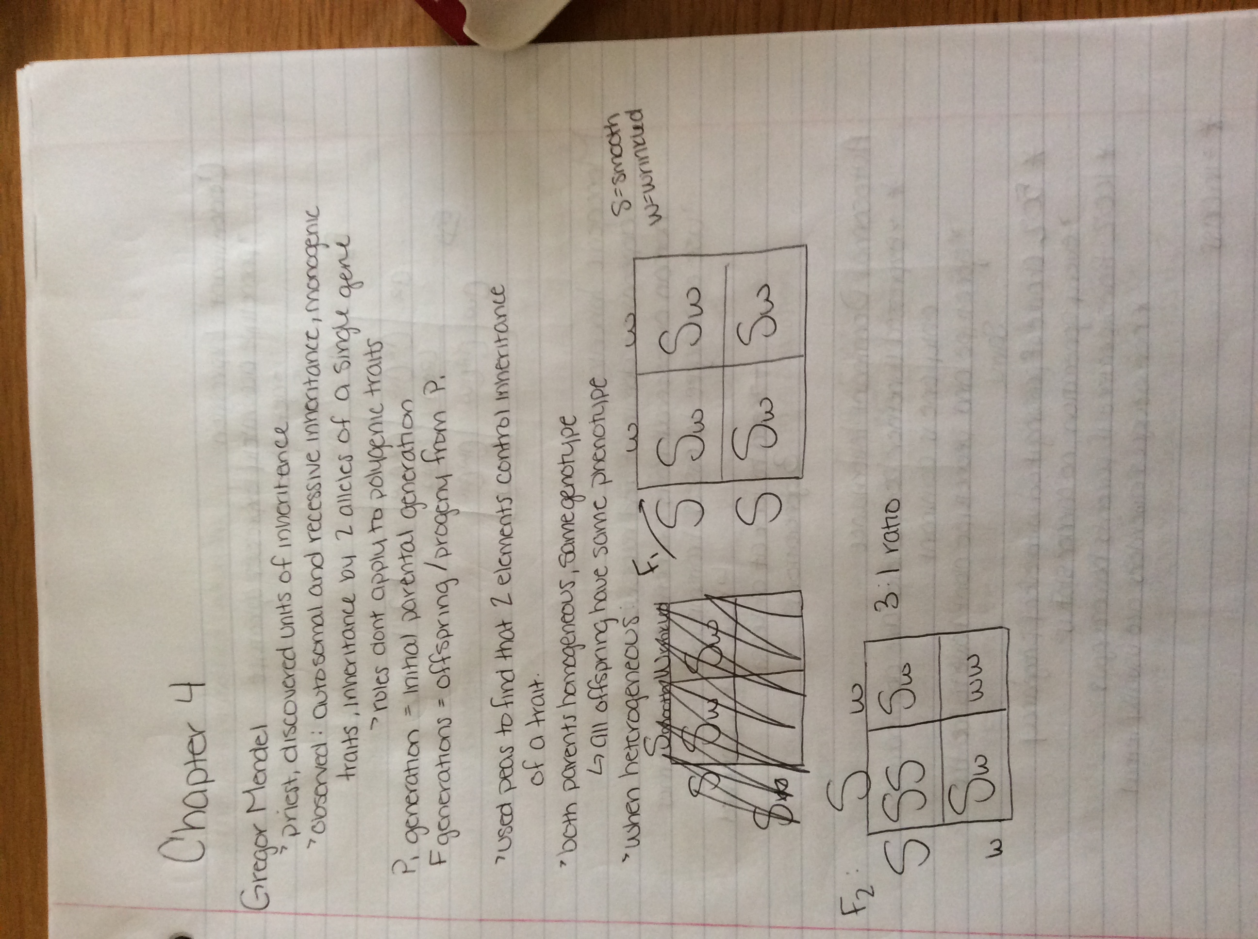 Chapter 4 notes (iBook 4)