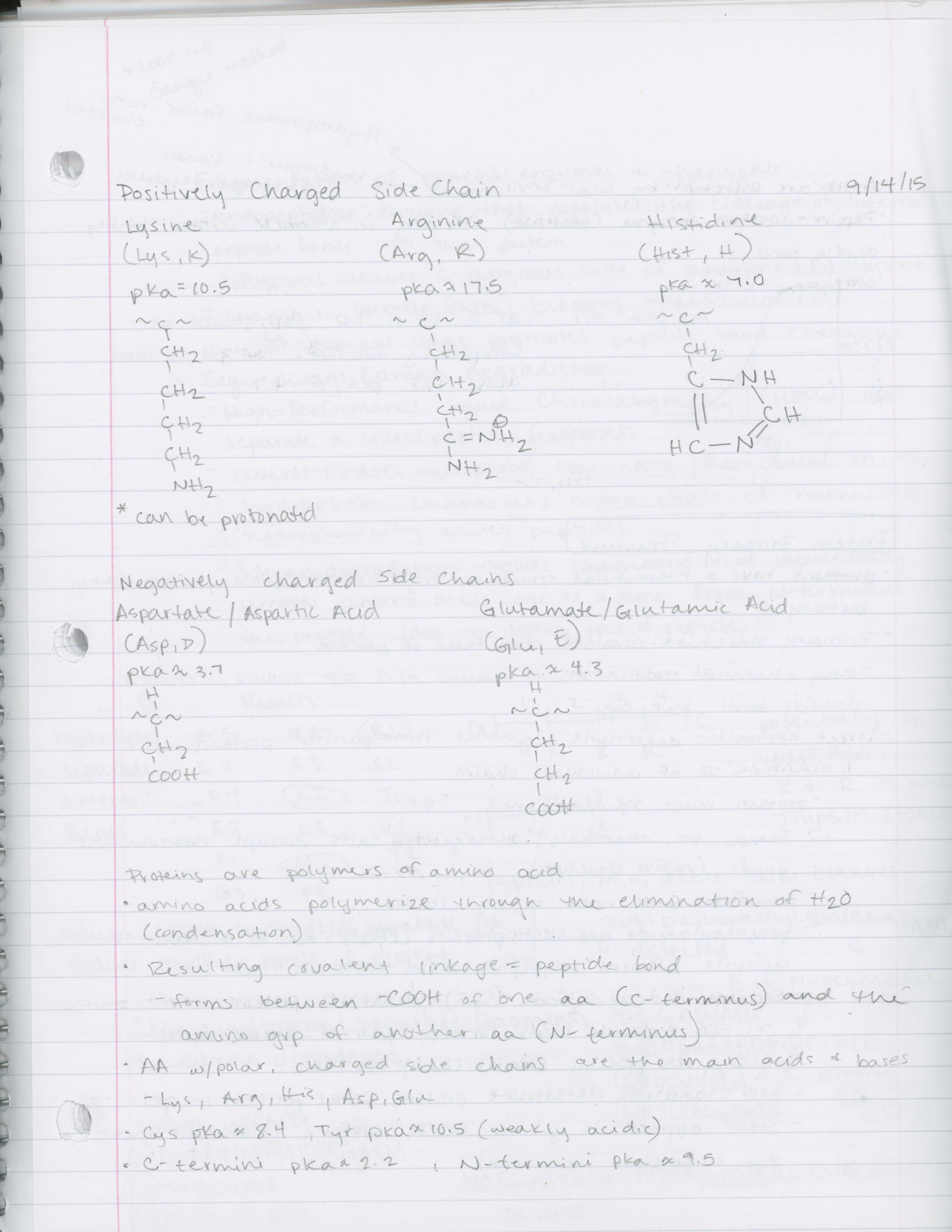Week 2 Notes-Biochemistry 1