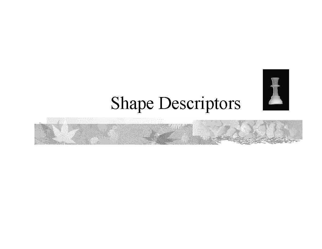 COMPUTER VISION SYSTEMS