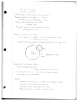 Chapter 2: Gravitation and the Motion of the Planets