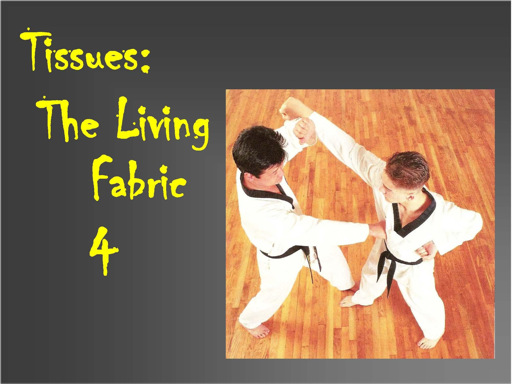 Human Anatomy & Physiology I