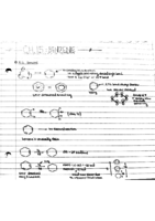 Chapter 15 Notes