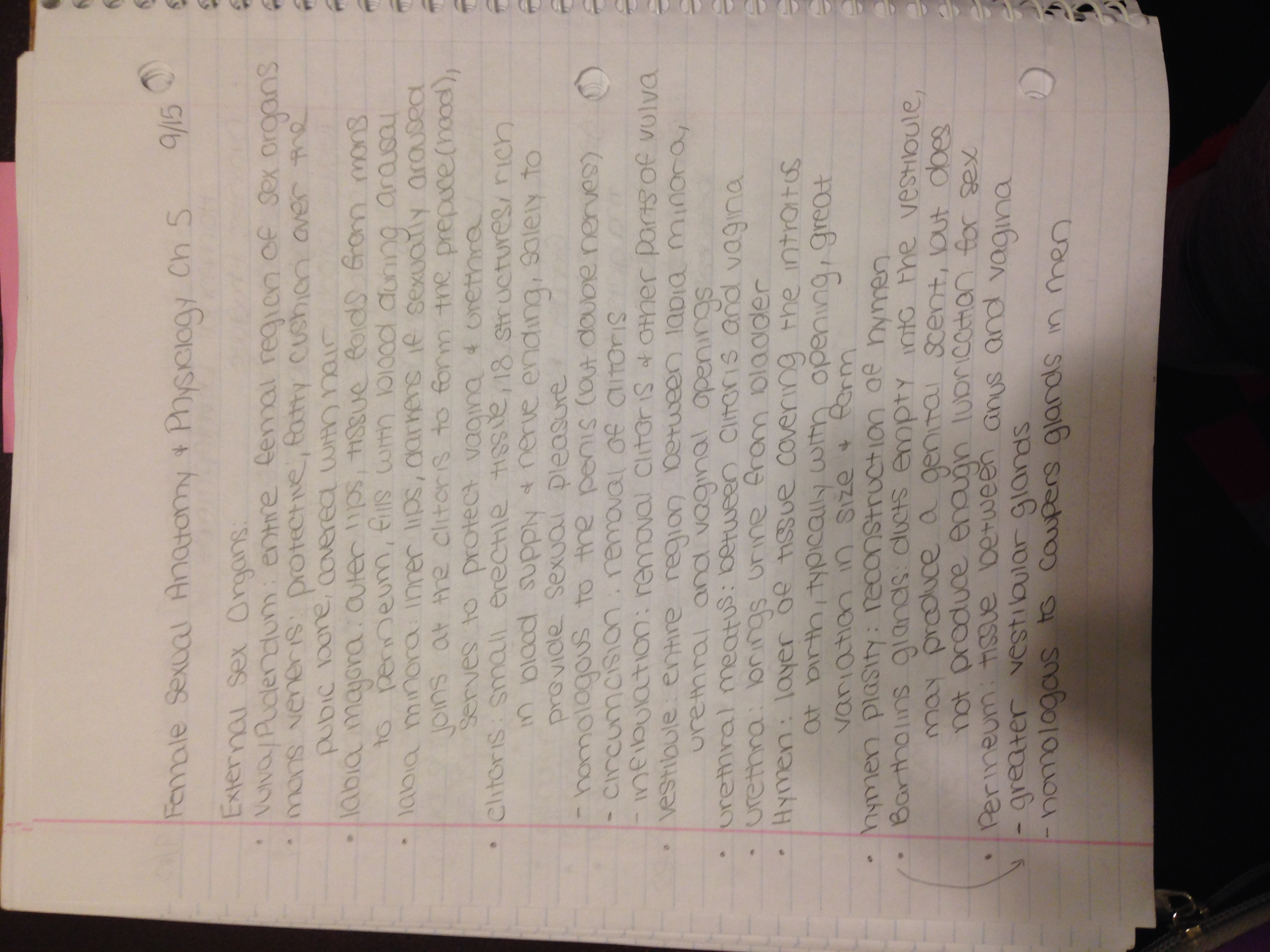 Human Sexuality: Female Sexual Anatomy and Physiology 