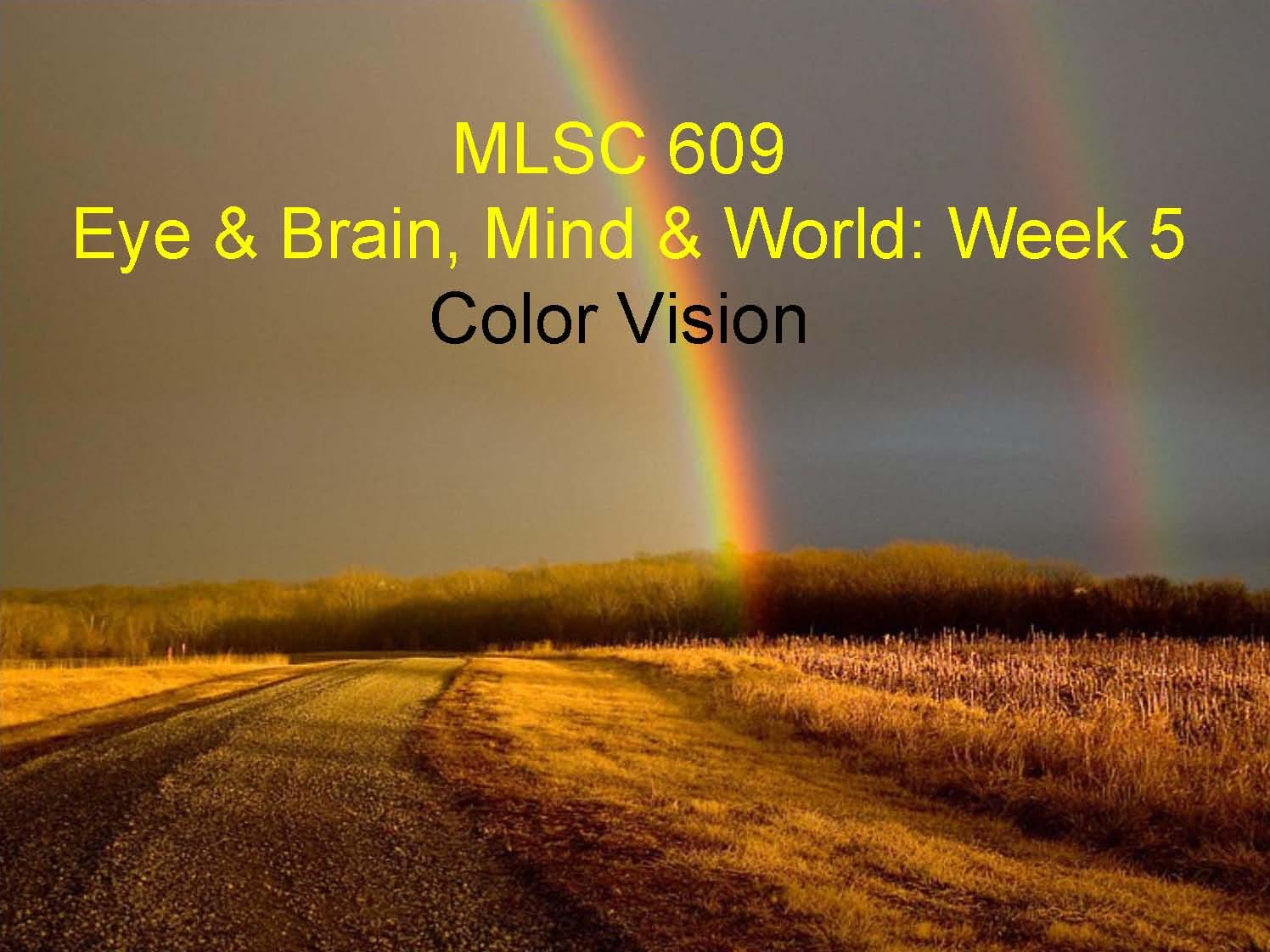 EYE AND BRAIN, MIND AND WORLD