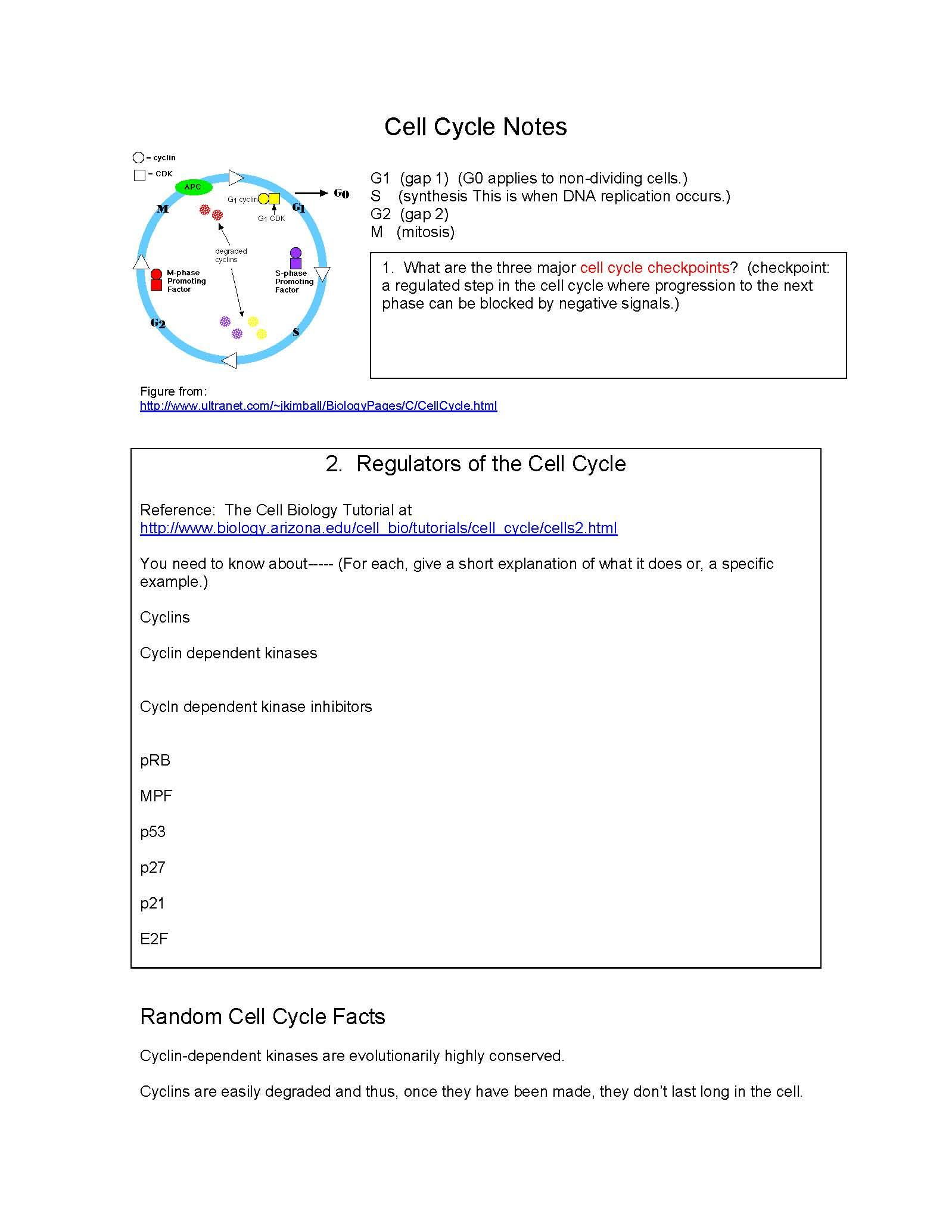 BIOTECH NEW MILLENN II