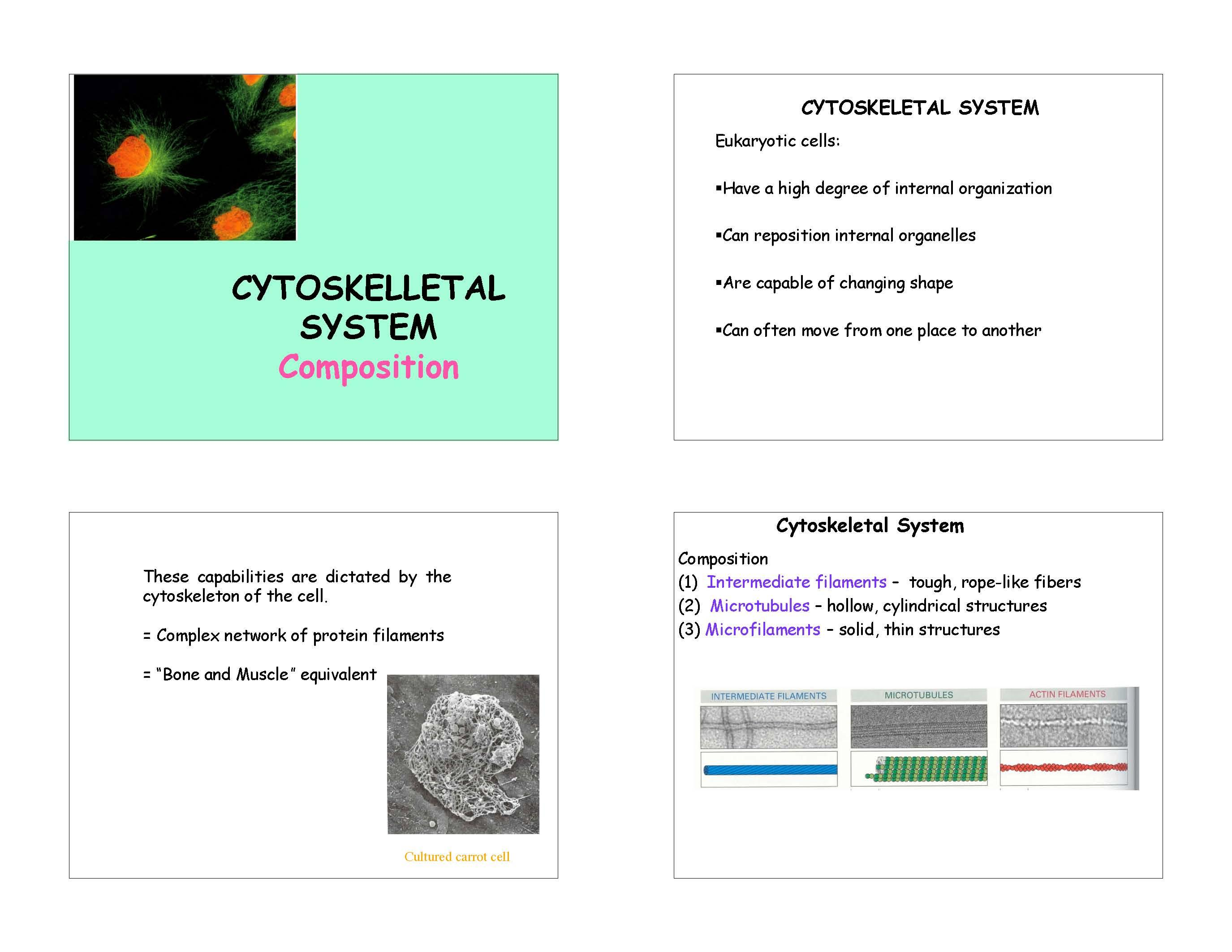 FNDATION MOL CEL BIO